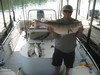 (08/05/2014) - Nice Striped Bass